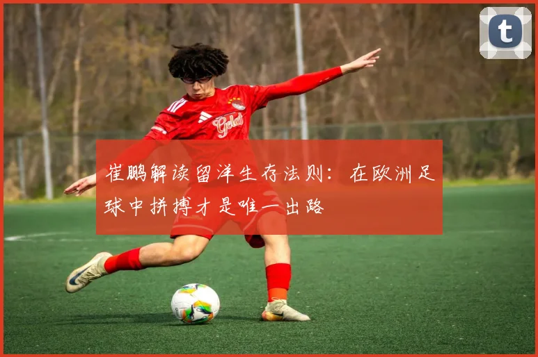 崔鹏解读留洋生存法则：在欧洲足球中拼搏才是唯一出路