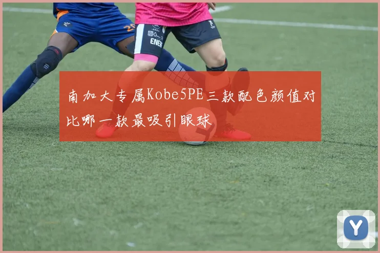 南加大专属Kobe5PE三款配色颜值对比哪一款最吸引眼球