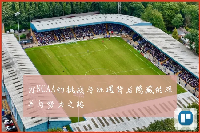 打NCAA的挑战与机遇背后隐藏的艰辛与努力之路